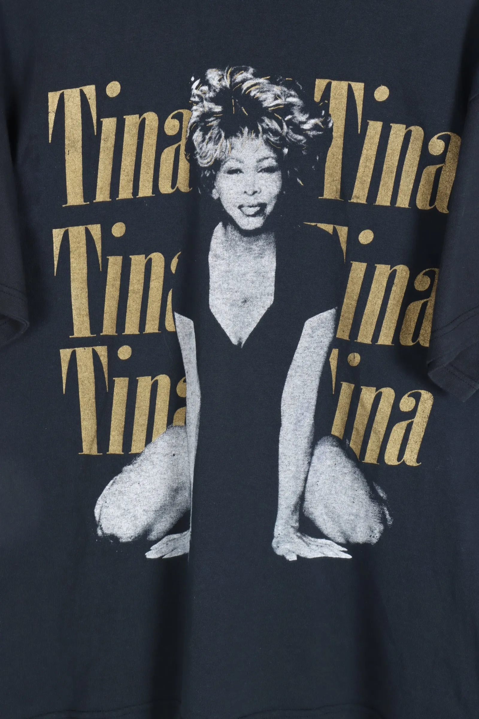 1997 VINTAGE Tina Turner Wildest Dreams Music Tee (XL)