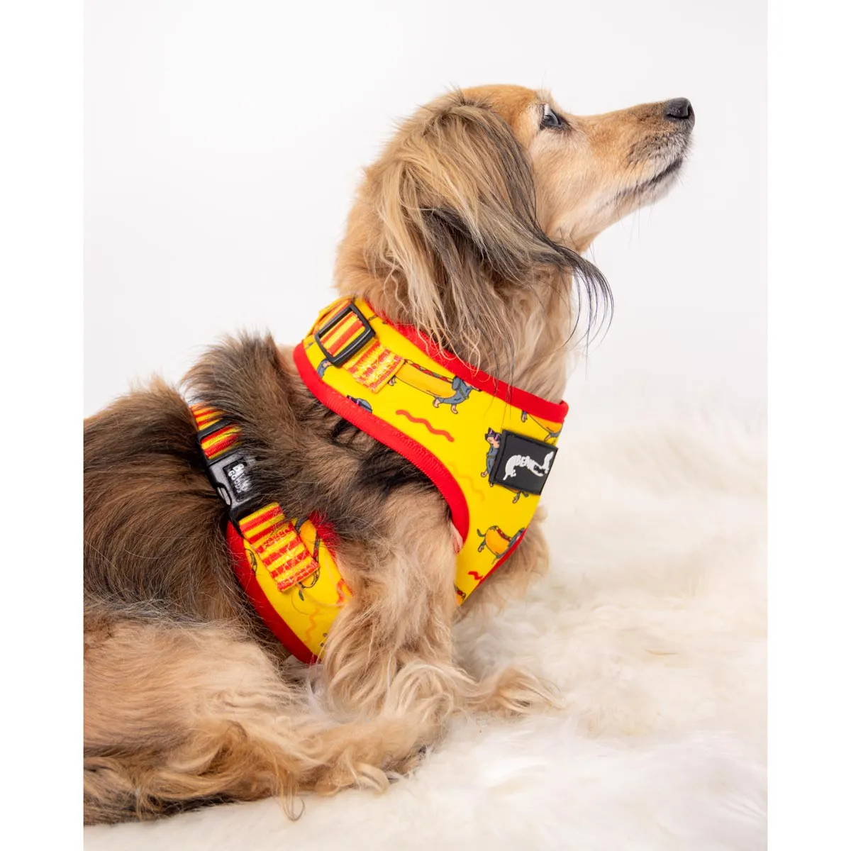 adjustable harness - hot dog