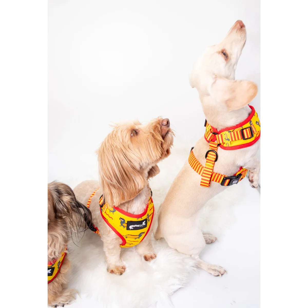 adjustable harness - hot dog