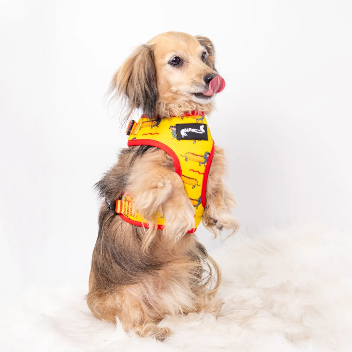 adjustable harness - hot dog