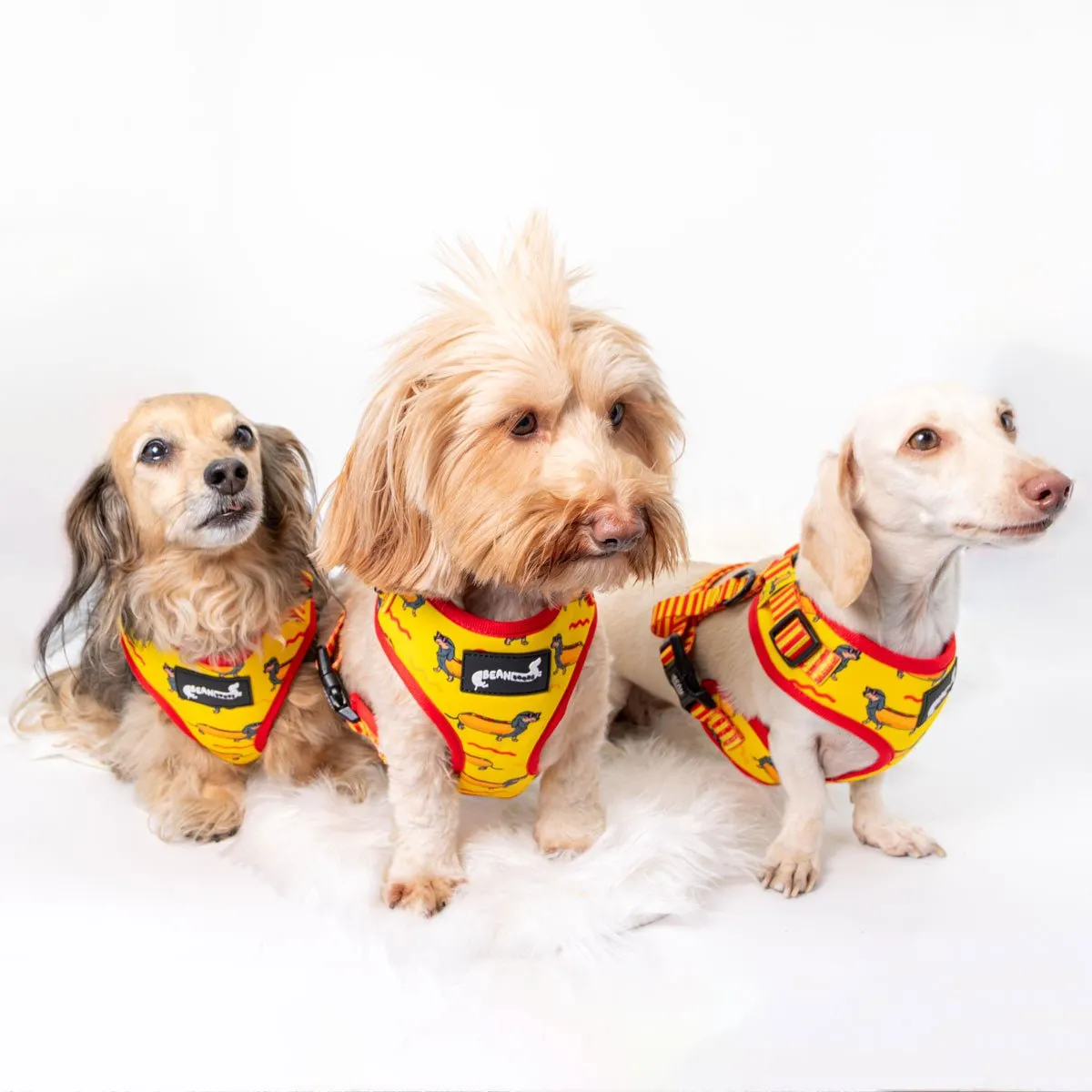 adjustable harness - hot dog