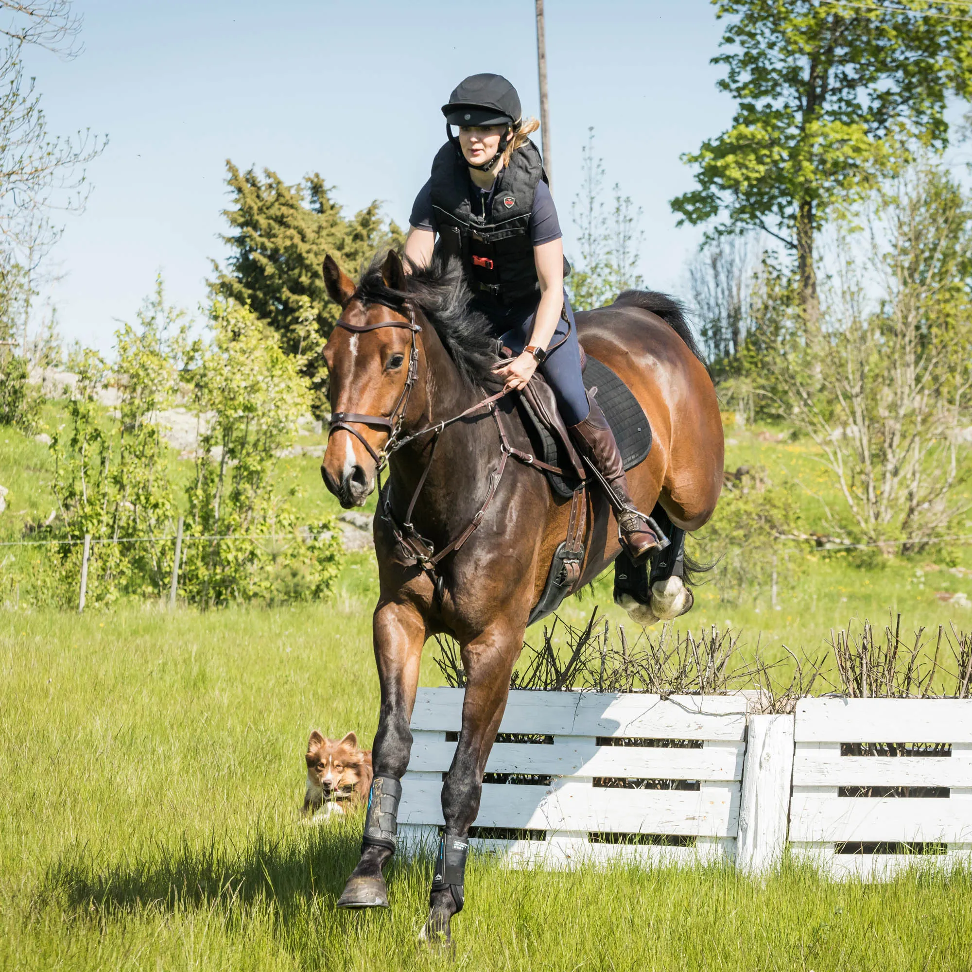 BOT TRAUMA VOID LYNX EVENTING FIELD COMPETITION HELMET W/ADJUSTABLE TIE- BLACK