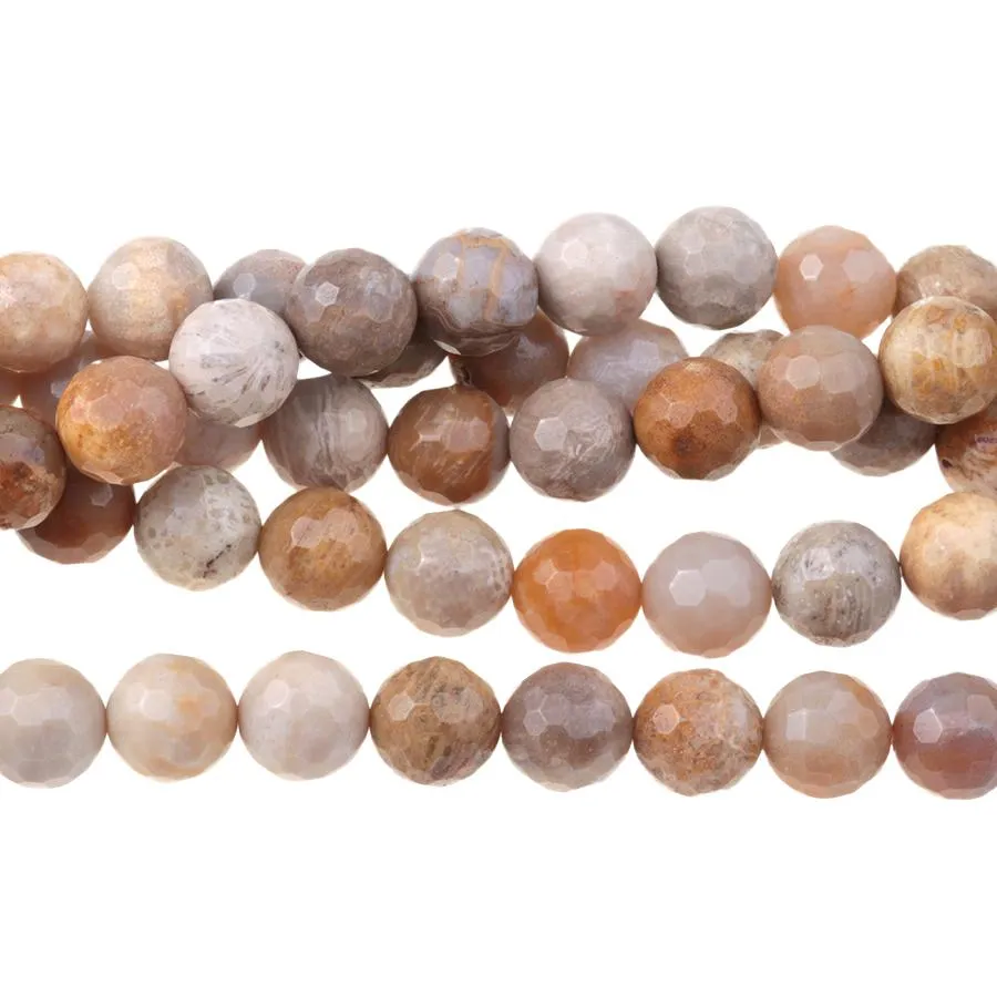 Fossil Coral 8mm Faceted Round - 15-16 Inch