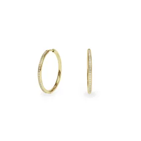 Stainless thin half eternity hoop earrings